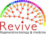 Labex Revive programme: "Stem Cells and Regenerative Biology and Medicine"