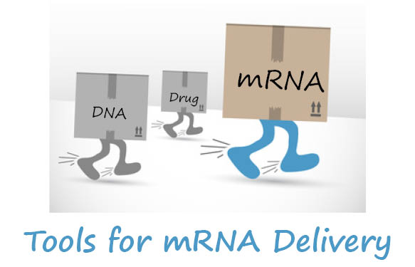 Tools for mRNA delivery at tebu-bio