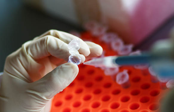 in vitro assays and lab services at tebu-bio