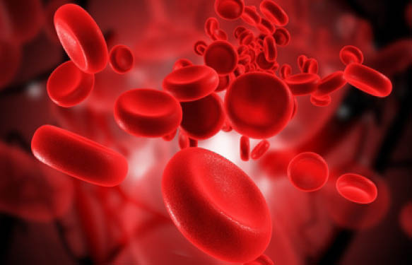 Blood cell products - Tebubio