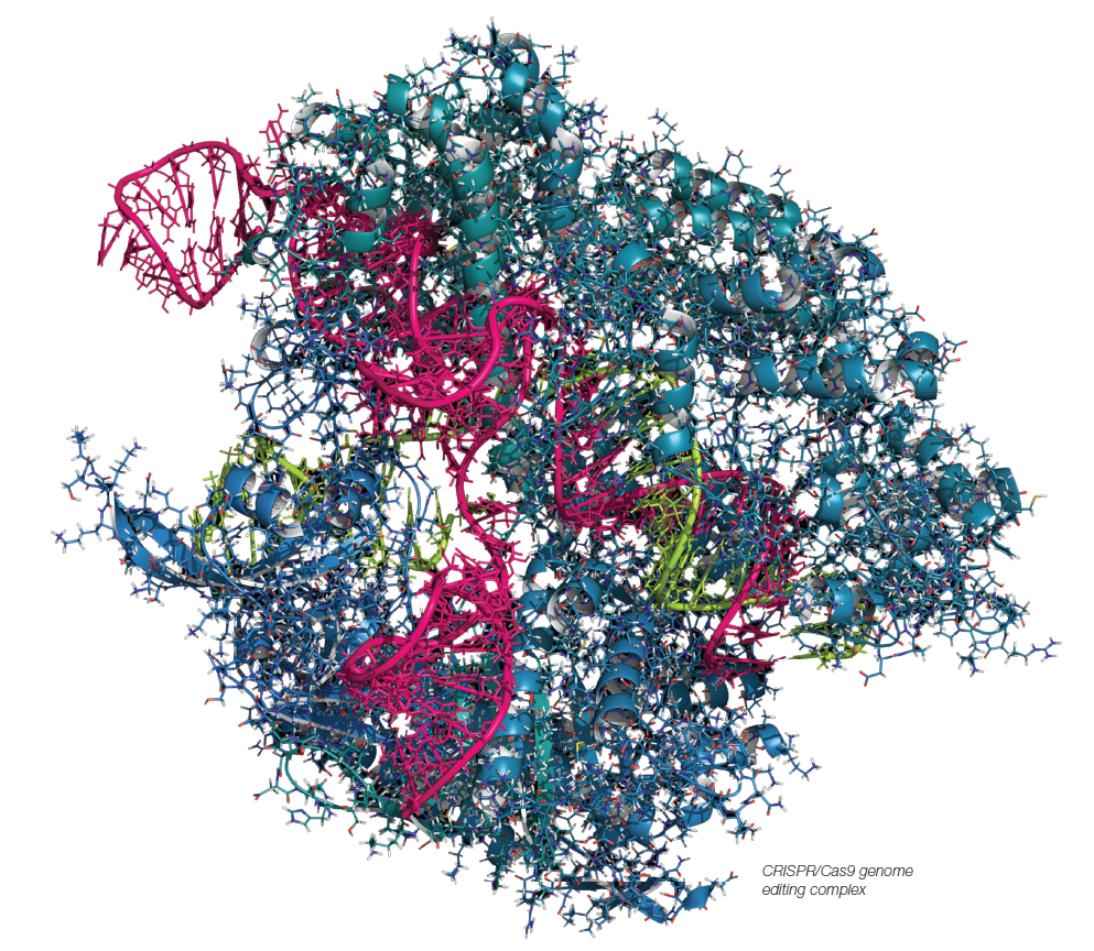 CRISPRCas9 genome editing complex