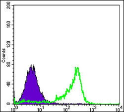 fcm-analysis-of-3t3-l1-cells-using-pax6-monoclonal-antobody-clone-1c8-cat-nr-157mab10293-green-and-negative-control-purple-source-abnova-tebu-bio