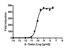nfkappa-b-cell-line-results