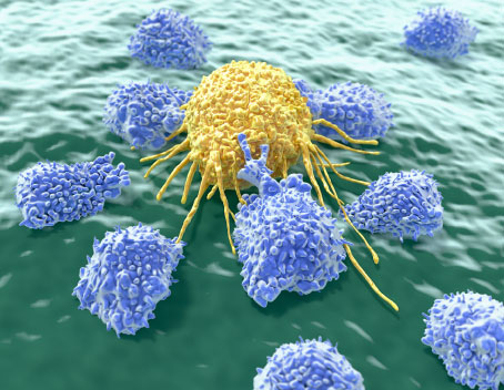 T cells response against cancer cell