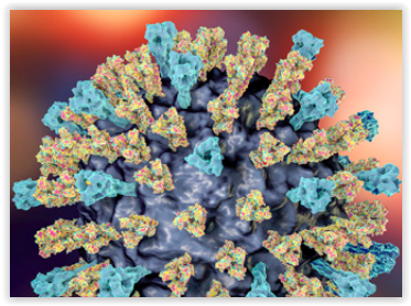 Assay development for viral and infectious diseases