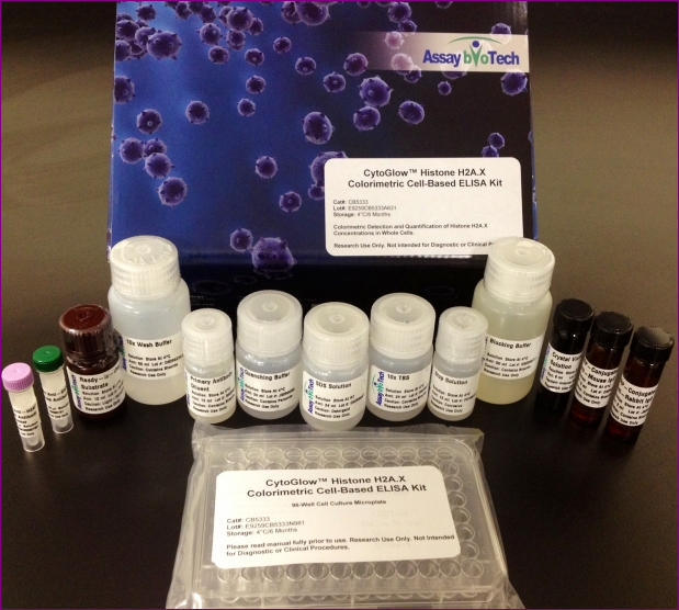 CytoGlow Cell-Based (Phospho) ELISA kits Assay Biotech tebu-bio