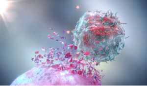 3D Rendering of Natural Killer NK Cell Destroying Cancer Cell