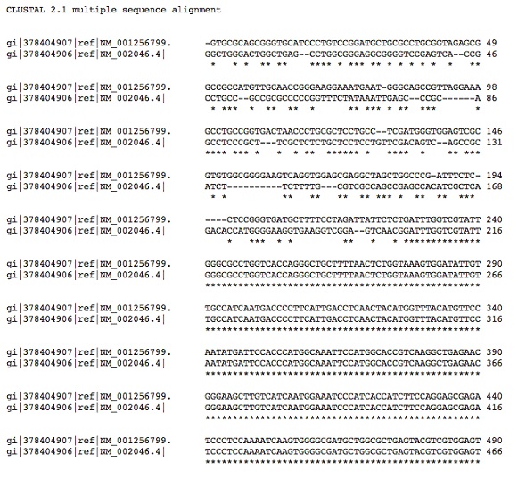 Multiple Sequence Alignment - PCR primer design part 1