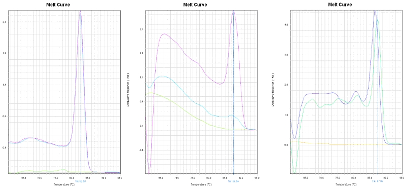 qPCR melting Curves (Testing specificity)