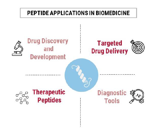 Peptide Applications in Biomedicine