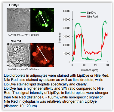 lipidye-lipid-droplet-green-cat-nr-194fdv-0010-source-funakoshi-tebu-bio