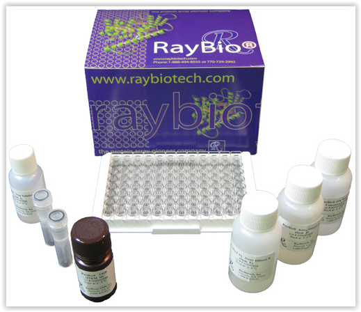 raybio-elisa-kit-by-raybiotech-and-tebu-bio