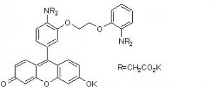 intracellular calcium measurement with Fluo-8