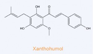 Xanthohumol
