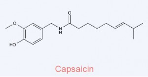 Ion channel modulators: Capsaicin