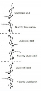 HA structure