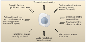 3D Technology for your assays