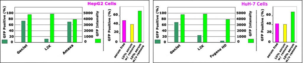 GenJet-HepG2-Huh7 comparison