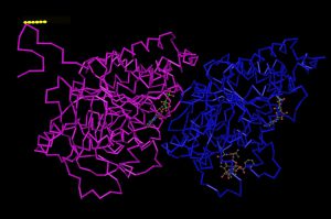Structure of Glutamylated or glycylated tubulin