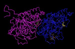 Structure of phosphorylated tubulin