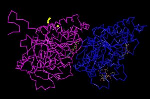 Structure of ubiquitinated tubulin