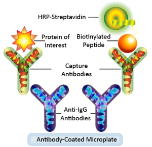 EIA Format ELISA test