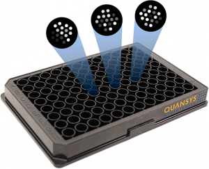 Multiplex ELISA
