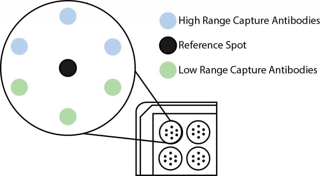 Spotting to improve the dynamic range of ELISA