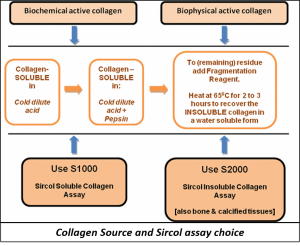 Collagen Source and Sircol assay choice