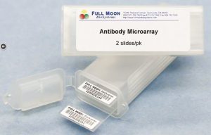 Phospho Explorer Antibody Microarray - Full Moon at tebu-bio