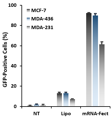mRNA-Fect with adherent cells