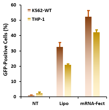 Suspension dependent cells transfected with mRNA-Fect