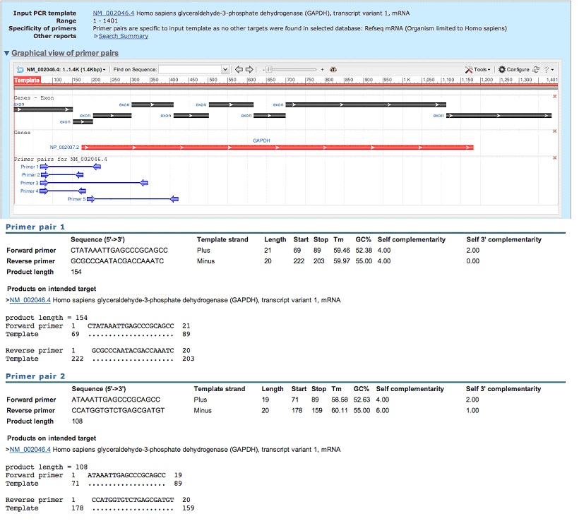 Primer-Blast output when designing PCR primers