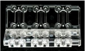 3D Cell Culture chip by AIM Biotech