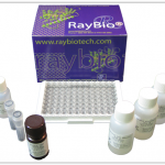 ELISA Kit by RayBiotech at tebu-bio.com